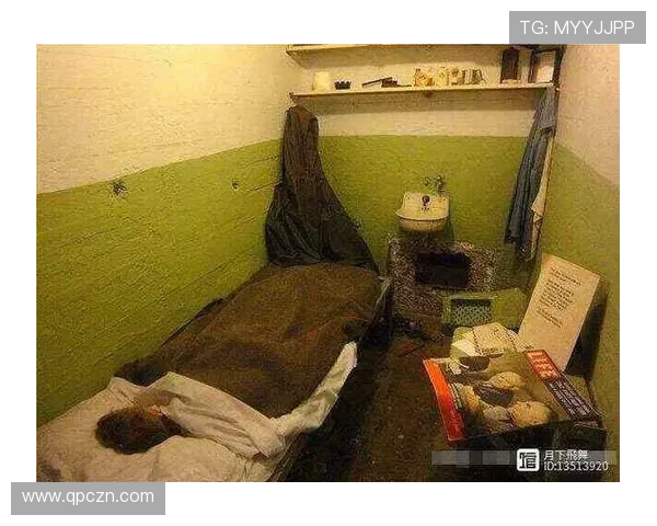 围绕魔鬼监狱展开的生死较量与黑暗真相交织的传奇剧作